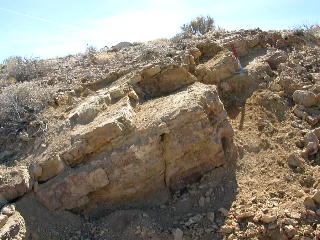 Thaynes Formation Outcrop