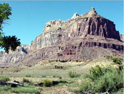 Anasibirites age rocks in Eastern Utah